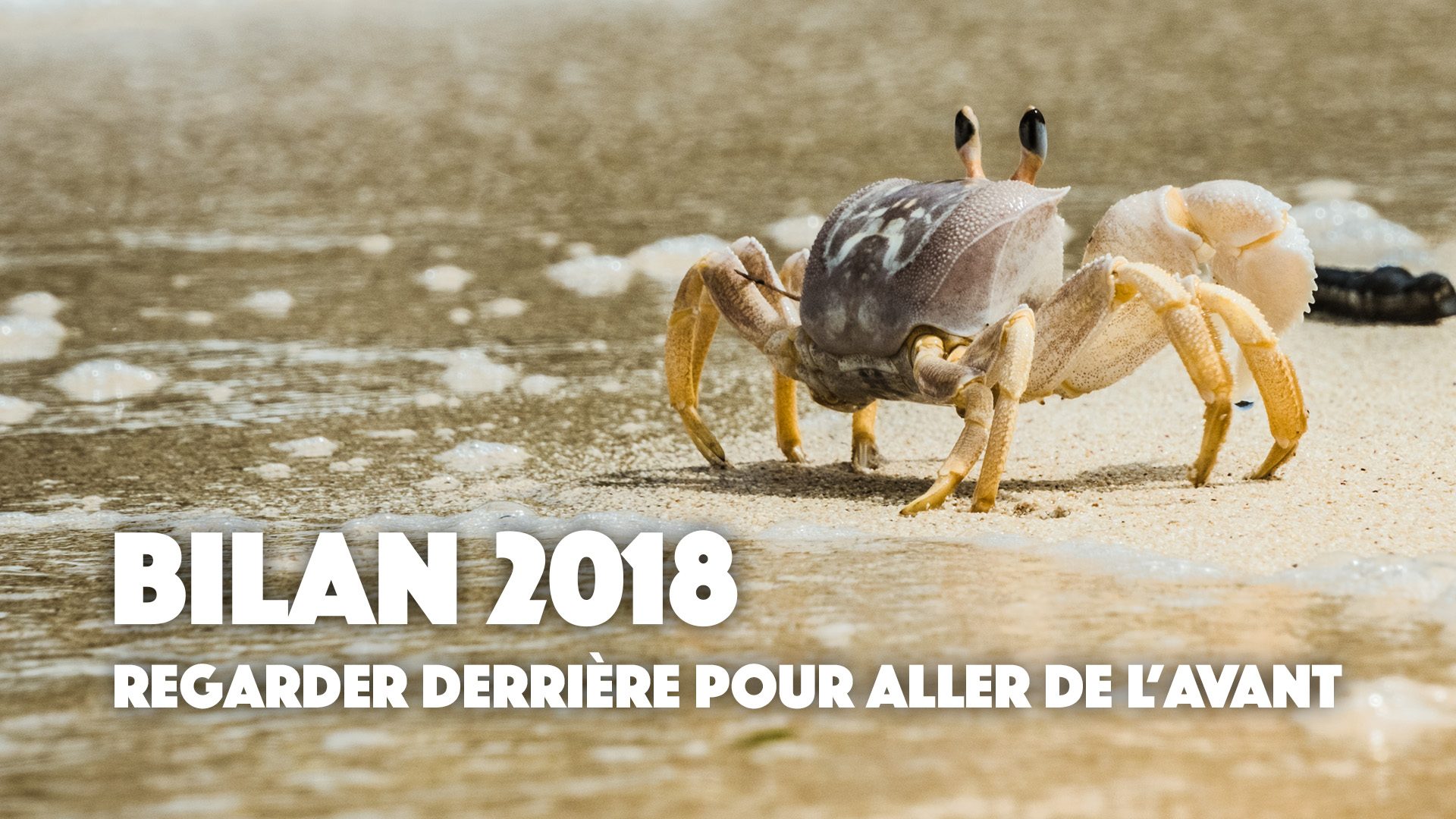 Bilan 2018