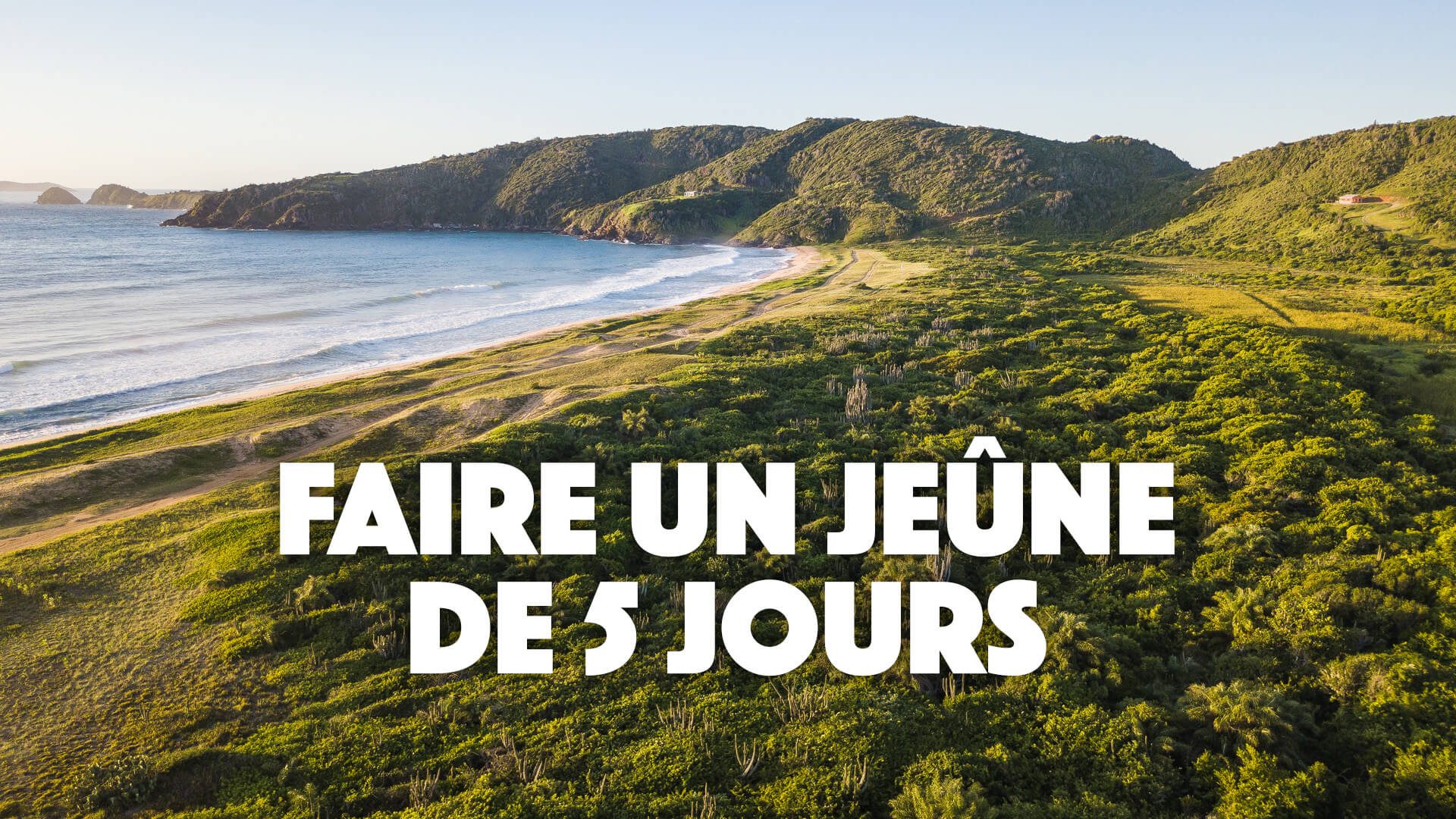 Jeune hydrique de 5 jours