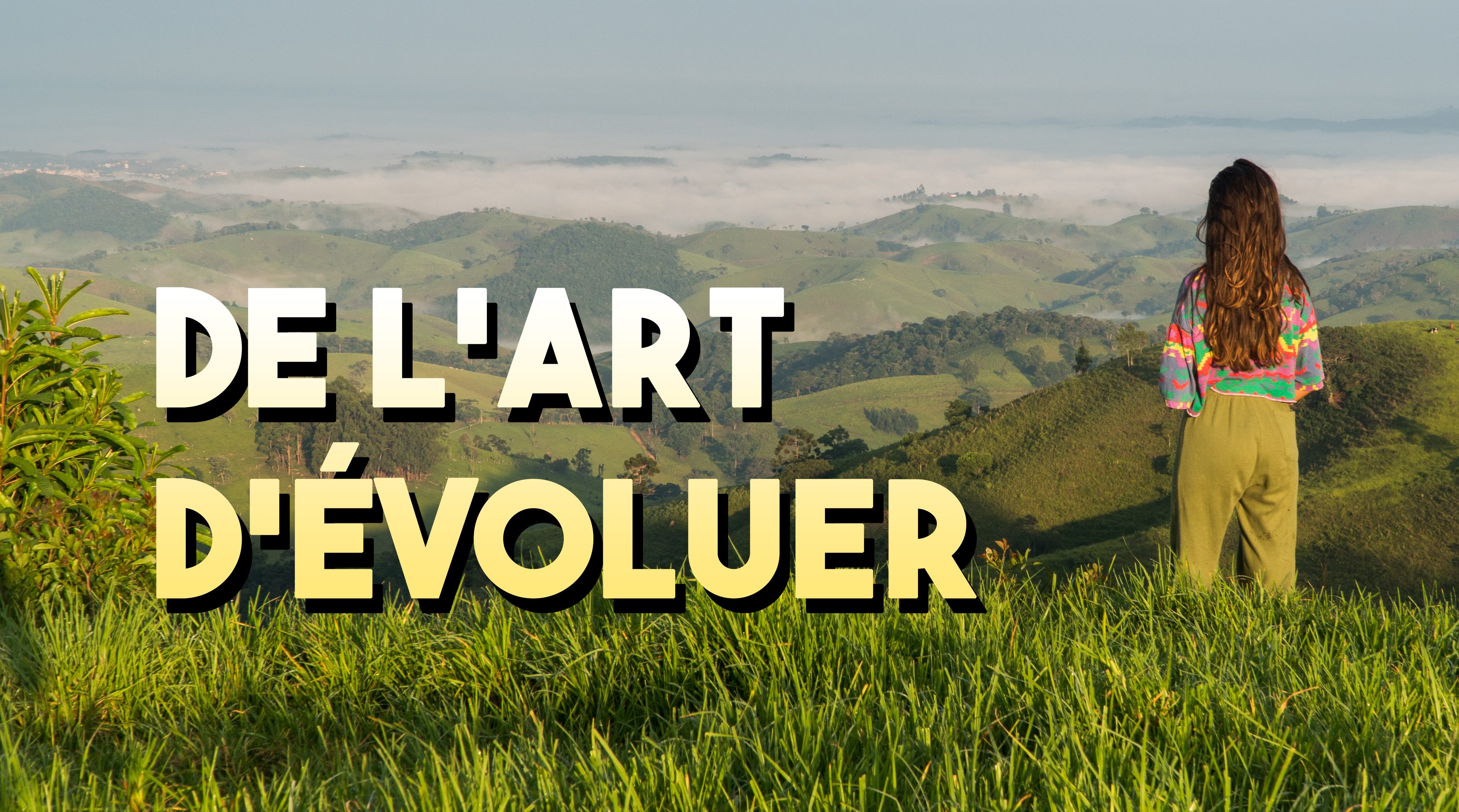 DE L'ART D'EVOLUER