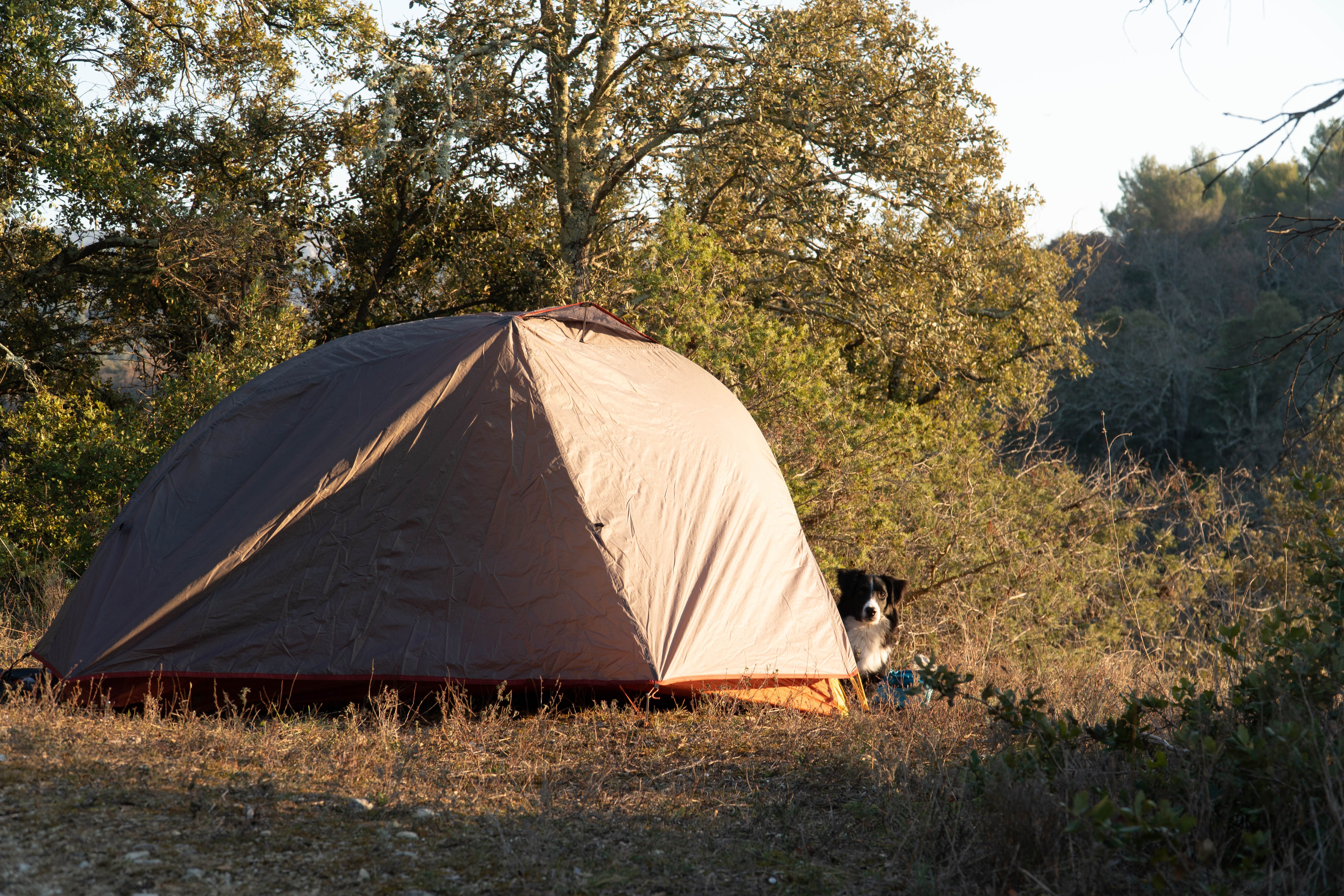 Tente quickhiking 1 personne
