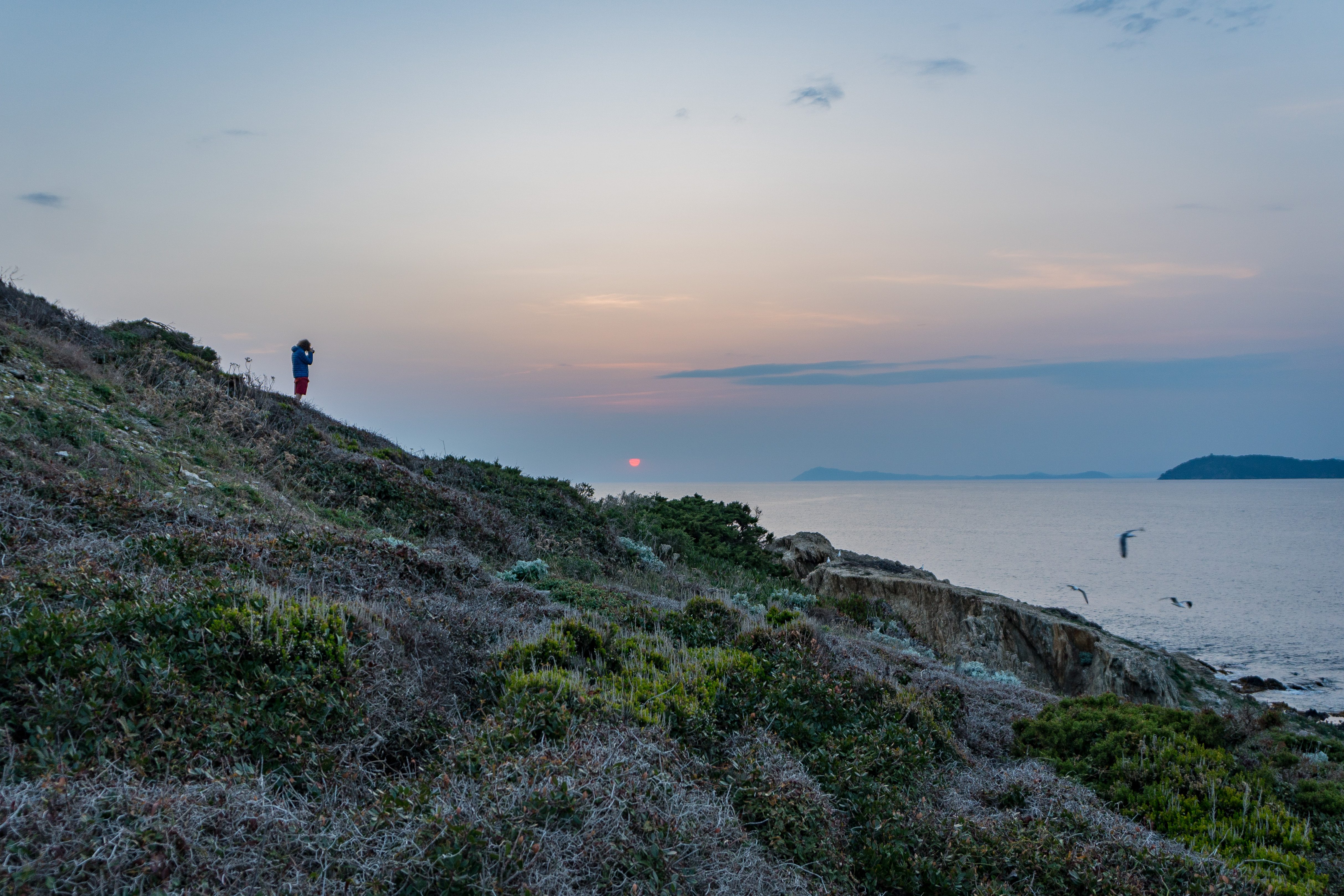 Tour de l'île de Porquerolles à pied