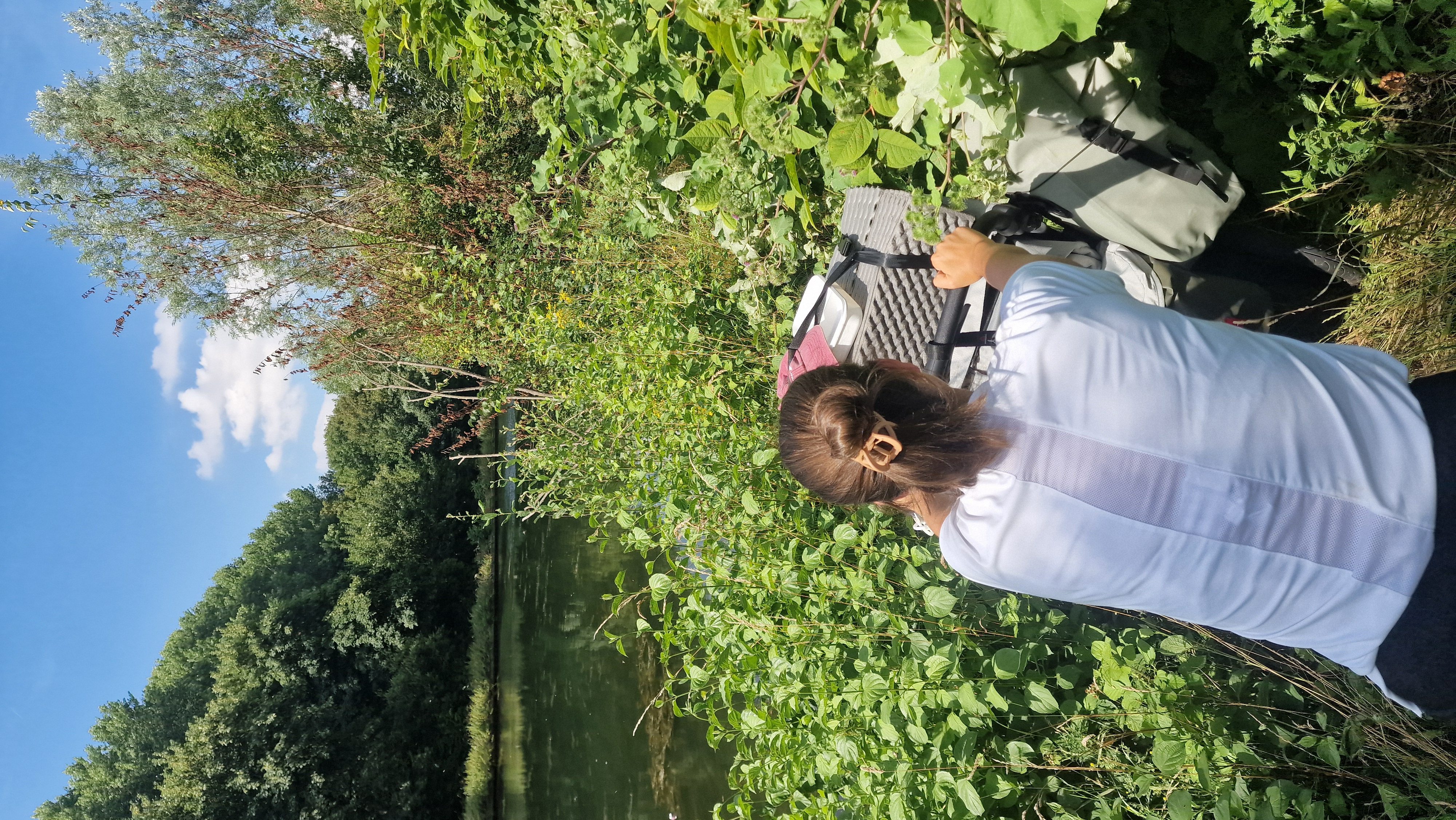 Poussette ABC Design Dans les herbes