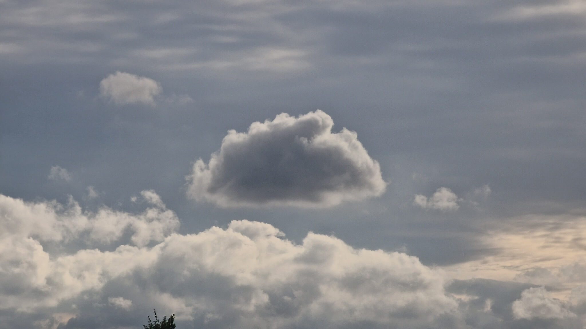 Conte : Le Petit Nuage Noir